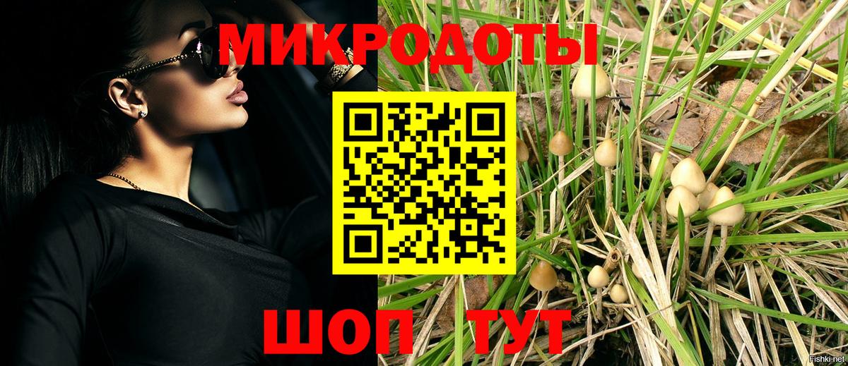 Галлюциногенные грибы мухоморы Асино