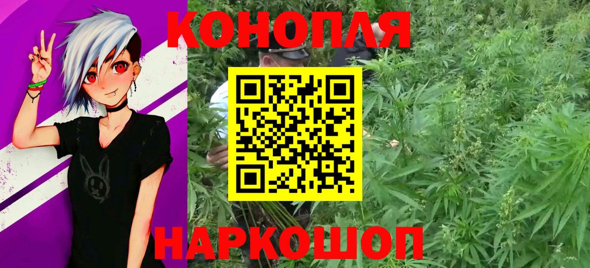 Асино  Канабис THC 21%  Вход с VPN  Бошки марихуана THC 21% 